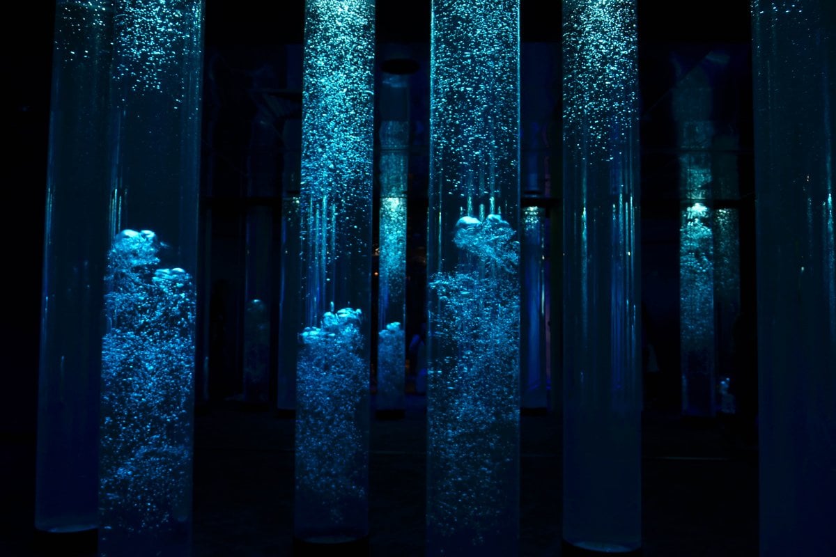 National Aquarium - Gallery Image 2